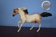 Load image into Gallery viewer, Buckskin Pinto-Andalusian Stallion Mold-Breyer Classic