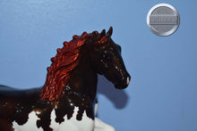 Load image into Gallery viewer, Black Forest-Breyerfest Exclusive-Shire Mold-Breyer Classic