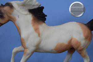 Buckskin Pinto-Andalusian Stallion Mold-Breyer Classic