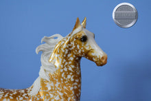 Load image into Gallery viewer, 30th Anniversary Gold Florentine ASB-American Saddlebred Stallion Mold with COA-Breyer Traditional