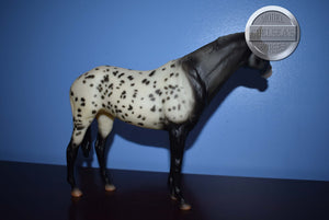 Wap Spotted-Secretariat Mold-Breyer Traditional