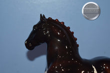 Load image into Gallery viewer, Black Forest-Breyerfest Exclusive-Shire Mold-Breyer Classic