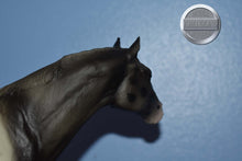 Load image into Gallery viewer, Wap Spotted-Secretariat Mold-Breyer Traditional