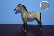 Load image into Gallery viewer, Grey Appaloosa Foal-Standing Stock Horse Foal Mold-Breyer Traditional