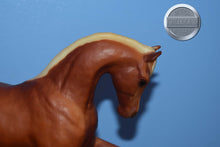Load image into Gallery viewer, Prancing Arabian Mare-Lady Roxana Mold-Breyer Traditional