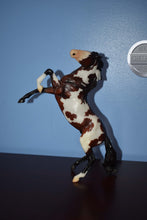 Load image into Gallery viewer, Nayati-Bay/White Paint Version-Rearing Mustang-Breyer Classic