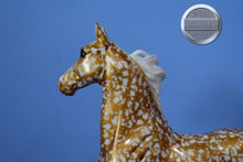 Load image into Gallery viewer, 30th Anniversary Gold Florentine ASB-American Saddlebred Stallion Mold with COA-Breyer Traditional