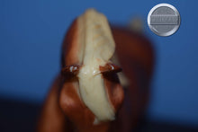 Load image into Gallery viewer, Prancing Arabian Mare-Lady Roxana Mold-Breyer Traditional