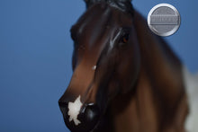 Load image into Gallery viewer, Gideon-Smart Chic Olena Mold-Breyer Traditional