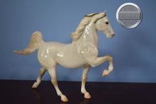 Load image into Gallery viewer, First Frost-JAH Exclusive-with COA-Five Gaiter Mold-Breyer Traditional