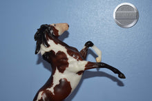 Load image into Gallery viewer, Nayati-Bay/White Paint Version-Rearing Mustang-Breyer Classic