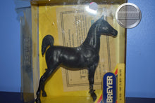 Load image into Gallery viewer, Raven-In Box-Saddlebred Weanling-Breyer Traditional