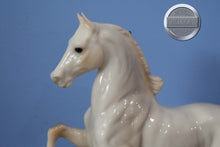Load image into Gallery viewer, First Frost-JAH Exclusive-with COA-Five Gaiter Mold-Breyer Traditional