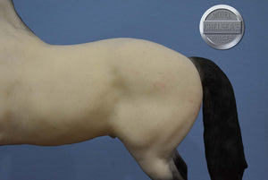 Jack Frost-Holiday Exclusive-Friesian Mold-Breyer Traditional
