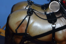 Load image into Gallery viewer, Pair of Theo with Harness and Wood Wagon-Breyer Traditional with Accessories