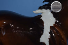 Load image into Gallery viewer, Autumn Shimmer-Cedarfarm Wixom Mold-Breyer Traditional