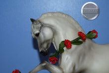 Load image into Gallery viewer, Robert Vavra&#39;s Majestad with Roses and CD-Legionario III Mold-Breyer Traditional