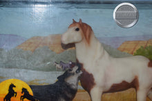 Load image into Gallery viewer, Wild Mustangs Sacred Hat and Wold-Mesteno Mold-Breyer Classic