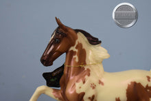 Load image into Gallery viewer, Salem-Halloween Exclusive-Walking Horse Mold-Breyer Classic