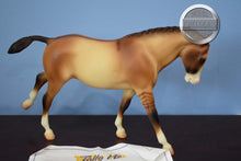 Load image into Gallery viewer, Tally Ho-with COA-Cantering Welsh Pony Mold-Breyer Traditional