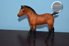 Load image into Gallery viewer, Woodsprite-Phantom Wings Foal Mold-Breyer Traditional