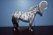 Load image into Gallery viewer, Santa&#39;s Helper-CM Appaloosa ISH-LE of 15-Glossy Finish-Peter Stone