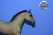 Load image into Gallery viewer, Pale Buckskin-From Frisky Foals Set-Action Stock Horse Foal Mold-Breyer Traditional