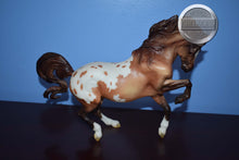 Load image into Gallery viewer, Starlet-Connemara Mare Mold-Breyer Traditional