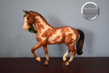Load image into Gallery viewer, Ratsputin-Halloween Exclusive-Warmblood Stallion Mold-Breyer Classic