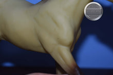 Load image into Gallery viewer, Pale Buckskin-From Frisky Foals Set-Action Stock Horse Foal Mold-Breyer Traditional