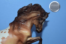 Load image into Gallery viewer, Starlet-Connemara Mare Mold-Breyer Traditional