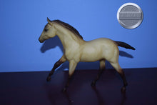 Load image into Gallery viewer, Pale Buckskin-From Frisky Foals Set-Action Stock Horse Foal Mold-Breyer Traditional