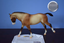 Load image into Gallery viewer, Tally Ho-with COA-Cantering Welsh Pony Mold-Breyer Traditional