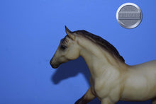 Load image into Gallery viewer, Pale Buckskin-From Frisky Foals Set-Action Stock Horse Foal Mold-Breyer Traditional