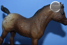 Load image into Gallery viewer, Chestnut Blanket Stock Foal-Phantom Wings Foal Mold-Breyer Traditional