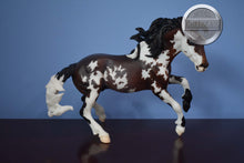 Load image into Gallery viewer, Moon Warrior-HTF-Connoisseur Exclusive-Nokota Mold-With Bag and COA-Breyer Traditional
