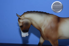Load image into Gallery viewer, Tally Ho-with COA-Cantering Welsh Pony Mold-Breyer Traditional