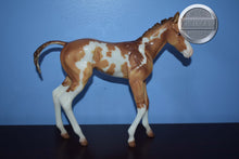 Load image into Gallery viewer, Camila-Springtime Foal-1:6 Scale-Foalzilla-Overo-Breyer Large Scale
