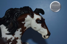 Load image into Gallery viewer, Moon Warrior-HTF-Connoisseur Exclusive-Nokota Mold-With Bag and COA-Breyer Traditional
