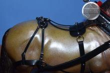 Load image into Gallery viewer, Pair of Theo with Harness and Wood Wagon-Breyer Traditional with Accessories