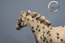 Load image into Gallery viewer, Santa&#39;s Helper-CM Appaloosa ISH-LE of 15-Glossy Finish-Peter Stone
