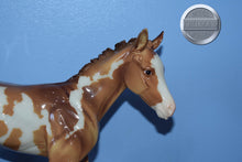 Load image into Gallery viewer, Camila-Springtime Foal-1:6 Scale-Foalzilla-Overo-Breyer Large Scale
