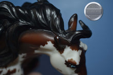 Load image into Gallery viewer, Moon Warrior-HTF-Connoisseur Exclusive-Nokota Mold-With Bag and COA-Breyer Traditional