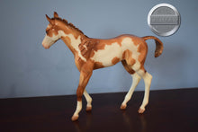 Load image into Gallery viewer, Camila-Springtime Foal-1:6 Scale-Foalzilla-Overo-Breyer Large Scale