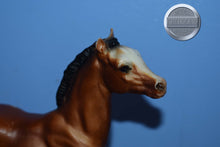 Load image into Gallery viewer, Bay Running Foal-BODY-Running Foal Mold-Breyer Traditional