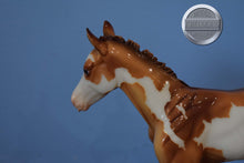 Load image into Gallery viewer, Camila-Springtime Foal-1:6 Scale-Foalzilla-Overo-Breyer Large Scale
