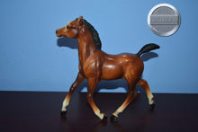 Load image into Gallery viewer, Bay Running Foal-BODY-Running Foal Mold-Breyer Traditional