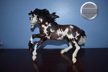 Load image into Gallery viewer, Moon Warrior-HTF-Connoisseur Exclusive-Nokota Mold-With Bag and COA-Breyer Traditional
