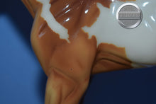 Load image into Gallery viewer, Camila-Springtime Foal-1:6 Scale-Foalzilla-Overo-Breyer Large Scale