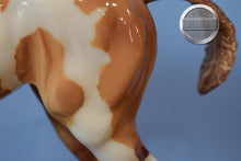 Load image into Gallery viewer, Camila-Springtime Foal-1:6 Scale-Foalzilla-Overo-Breyer Large Scale
